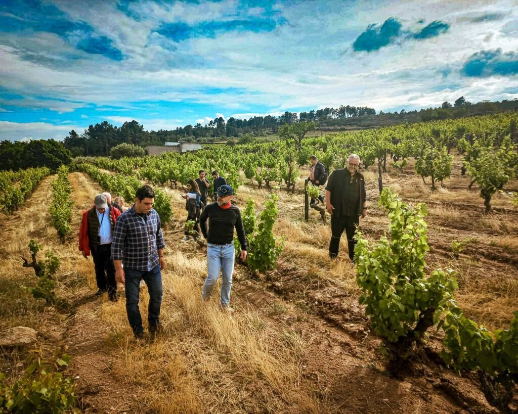 enoturismo-vinha-laferraz