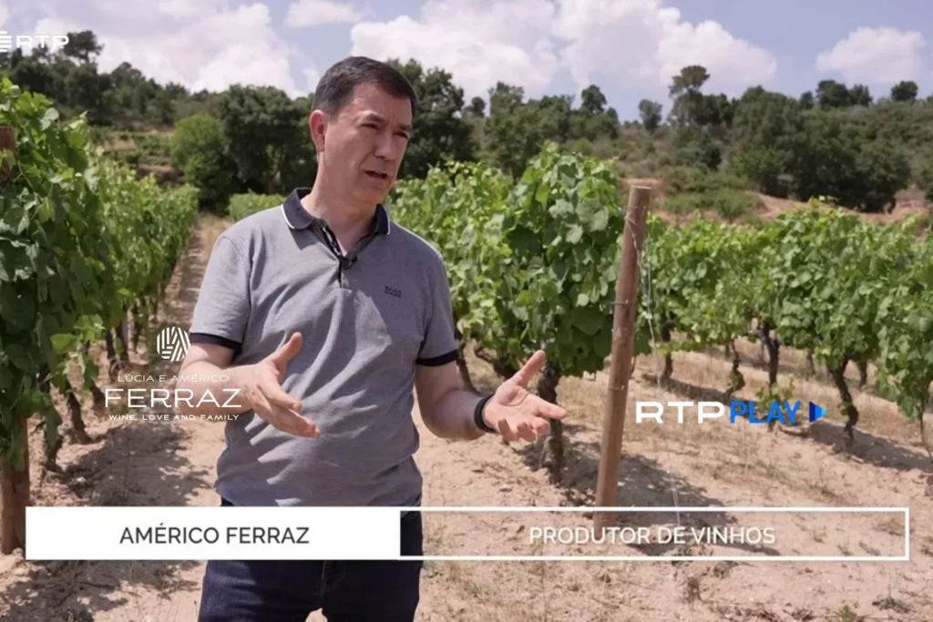 Dr. Américo Ferraz em entrevista para o programa A Essência da RTP sobre os vinhos Souvall.
