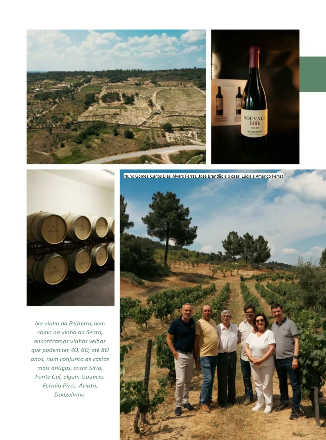 Vista aérea das vinhas em Vale Flor e barricas de carvalho para estágio dos vinhos Souvall.