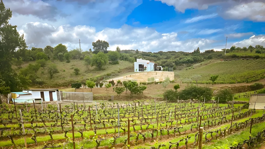 Vinhas de altitude da Souvall em Vale Flor, Beira Interior, durante a primavera.