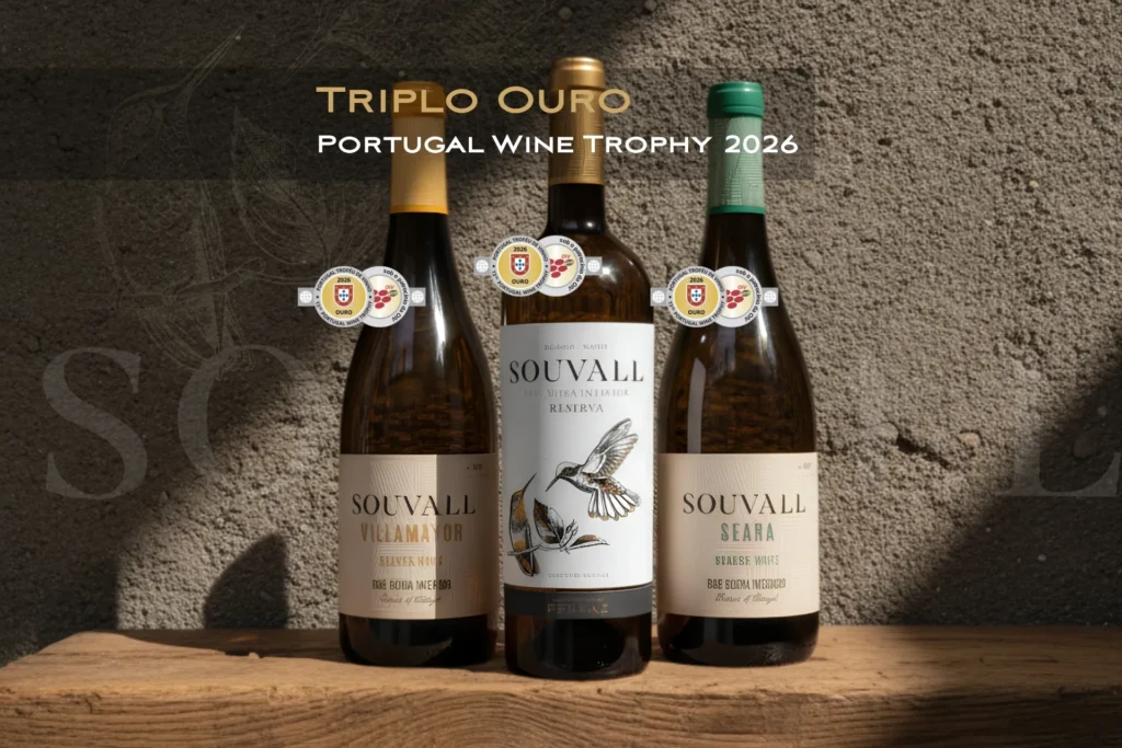 Três garrafas de vinho branco Souvall — Seara, Reserva e Villamayor — alinhadas lado a lado, cada uma com o respetivo selo de Medalha de Ouro conquistado no concurso Portugal Wine Trophy 2026.