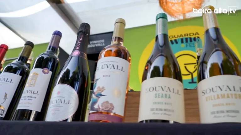 Garrafas de vinho e espumante da gama Souvall, da LAFerraz (DOC Beira Interior), em exibição num balcão de degustação no evento Guarda Wine Fest, realçando os rótulos de vinhos de altitude e viticultura de montanha.