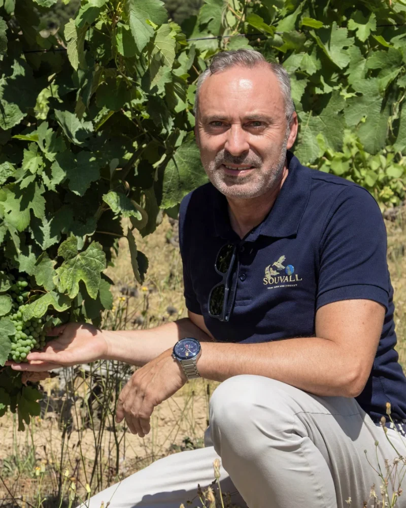 Nuno Gomes, Brand Manager da Souvall, nas vinhas de Vale Flor, Beira Interior.